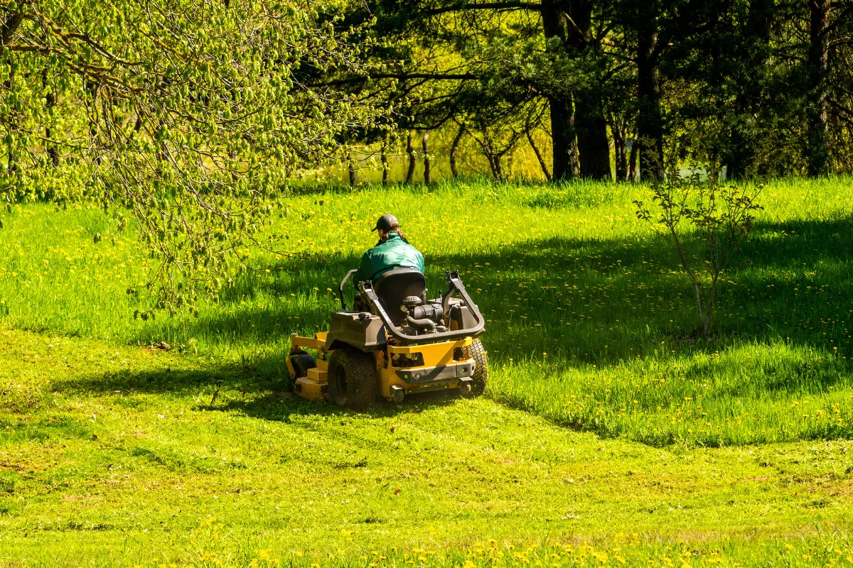 tracteur tondeuse